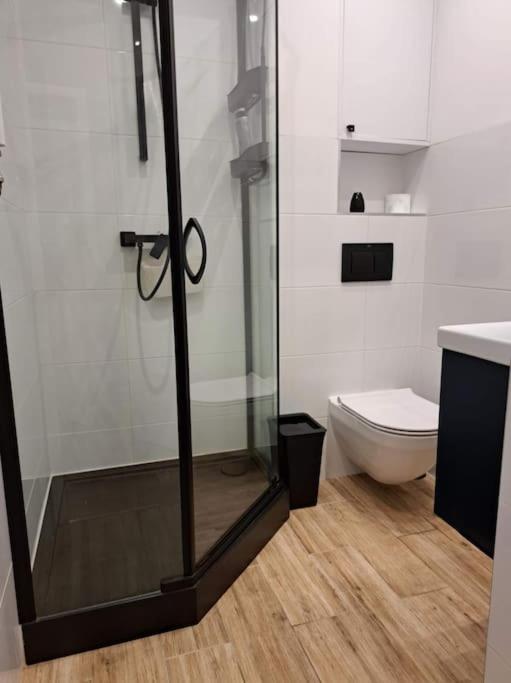 I Piaskowy Mak Apartment Leba